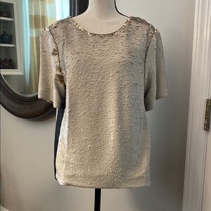 Elegant Sequin Beige Top